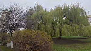 Даниловская гостиница Москва внутренний двор