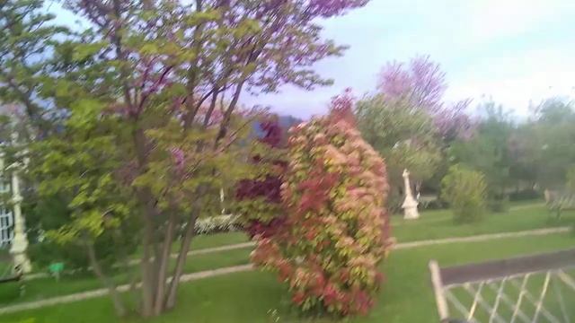 Казачий сквер и Андреевский парк в Геленджике смотреть онлайн