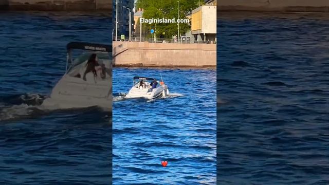 Elaginisland.com Елагин Апарт-Отель #апартотель #апартаменты #отели #арендаквартир #shorts #аврора смотреть онлайн