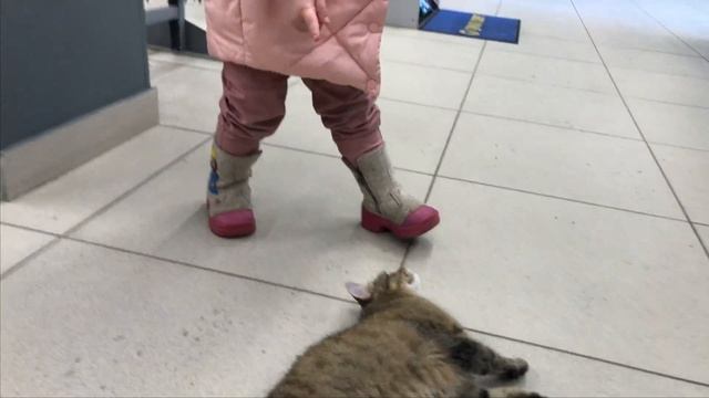 Лейсан с папой идут в спортивный магазин выбирать снаряжение для сноуборда