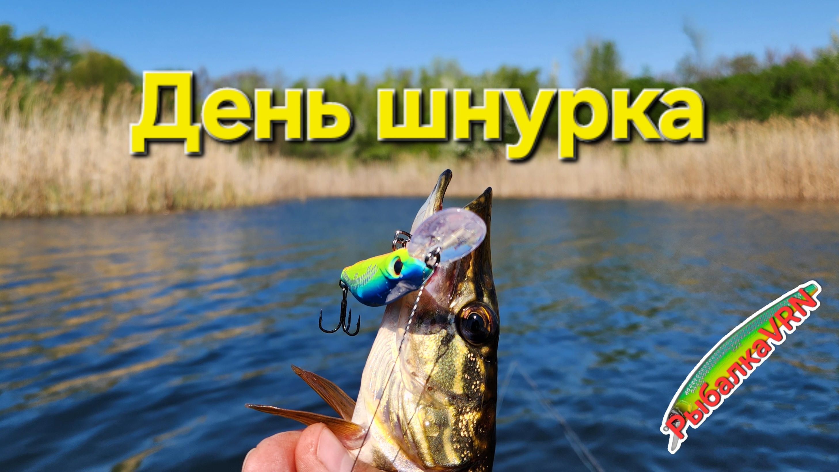 [2025]Рыбалка на спиннинг в апреле 2