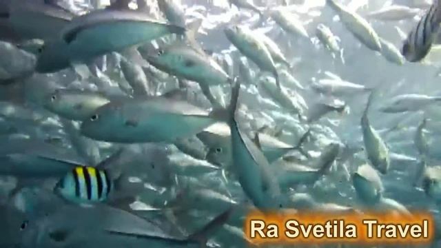 Кратко о Бали. смотреть онлайн