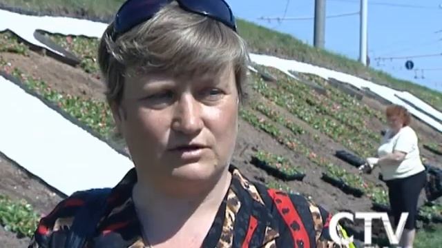 CTV.BY: Программа "Большой город" 5 мая 2012 года смотреть онлайн