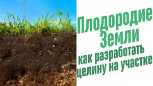 Как разработать целину?