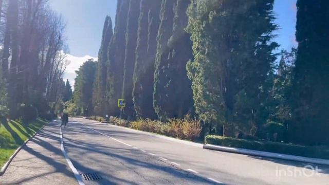 Прибыла в санаторий «Сочи». 23.01.24. смотреть онлайн