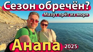 Анапа - сезон обречён? Мазут прёт из моря. Пляжи последней надежды. Весна 2025.