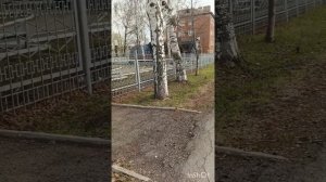 весна