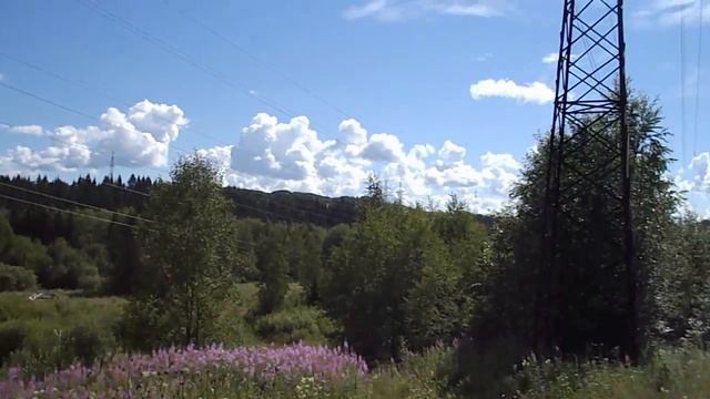 [VLOG_ЛТ#69]: прогулка на речку Извер с маламутом, купание) смотреть онлайн