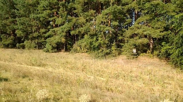 Из Перми в Крым дикарями 2018 - 3 смотреть онлайн