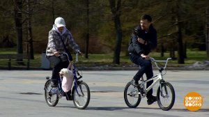 Городской велосипед: мягкой посадки! Велосипед в большом городе. Доброе утро. Фрагмент выпуска от...