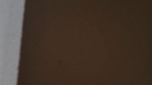 SULTAN OF SIDE обзор...29мая 2023г.