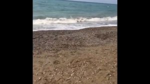 Pine Beach Belek 5* отель Белек Турция