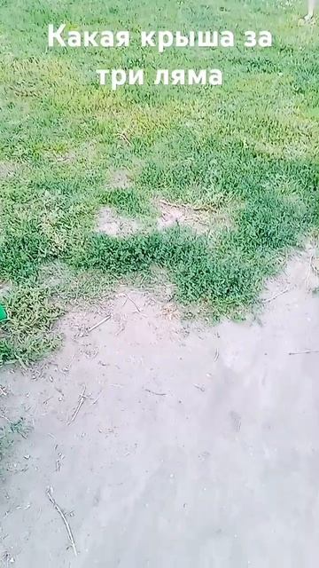 #шок #бабки #крыша смотреть онлайн