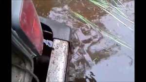 Две Нивы в стоке на бездорожье