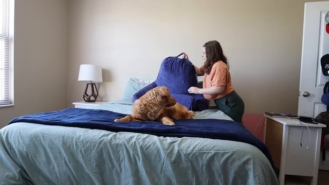 Bedroom Refresh & RIDE WITH ME! the first group ride of the season + more info on my bike setup! смотреть онлайн