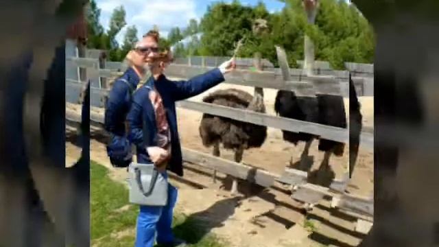 Макарьево 2014 смотреть онлайн