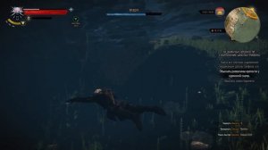 Ведьмак 3 Гайд где найти снаряжение Школы Грифона