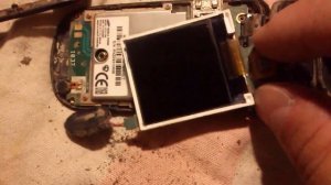 телефон утопленный в говне