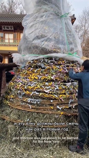 Медитация в Сеуле, Южная Корея смотреть онлайн