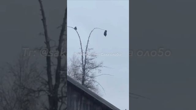 23 апреля 2025 г.