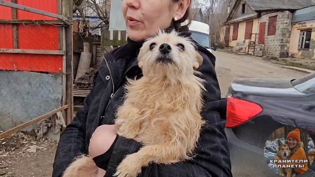 На неё ОБРУШИЛАСЬ КРЫША дома, но она НЕ ОСТАВИЛА ХВОСТ? смотреть онлайн