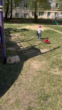 Вероника в солнечных очках