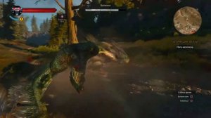 Ведьмак 3: Дикая Охота прохождение #25-василиск.