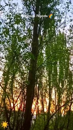 Рассвет. Мудрые мысли. 23.04.25 год