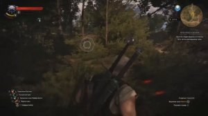 The Witcher 3 : Wild Hunt , Встреча с ведьмаком Школы Кота,НА СМЕРТЬ.