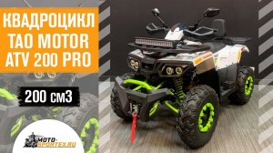 Квадроцикл Tao Motor ATV 200 Pro