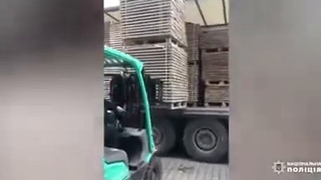 В Киеве задержали группу «черных лесорубов» из Ровно смотреть онлайн