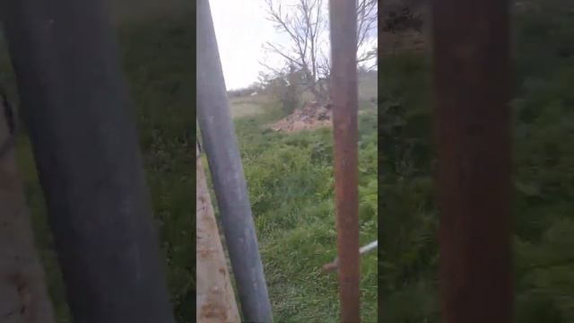 Сельские будни. Знакомство. смотреть онлайн