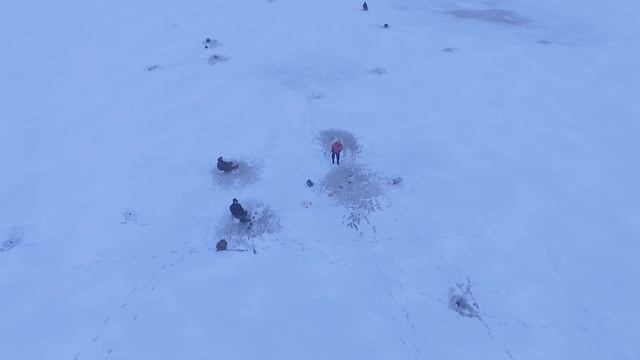 Луково смотреть онлайн