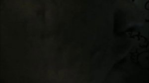 По заказу ОАО Первый канал всемирная сеть