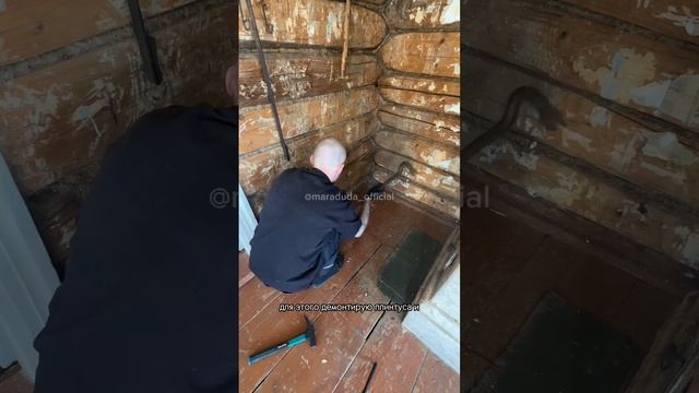 Ремонт в заброшенном доме на хуторе своими руками - отчет за 2 недели работы