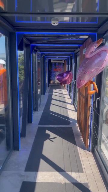 Любимое Лето! Термы «Лето» #лето #жара #термылето #отдых смотреть онлайн