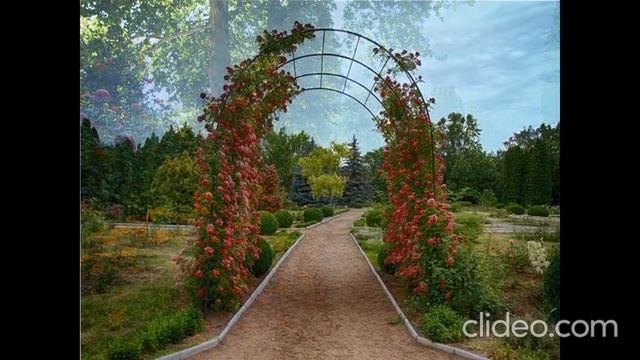 Эко экскурсия заповедные места Приднестровья смотреть онлайн