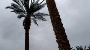 Grand Rotana Resort & Spa территория отеля, Sharm El Sheikh - Egypt, Шарм-эль-Шейх