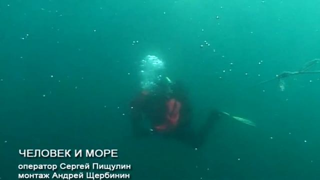 29 ЧЕЛОВЕК И МОРЕ HD смотреть онлайн