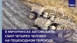 Морпехи ВС РФ обратили в бегство подразделения ВСУ в Горнале