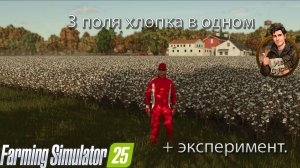 Farming Simulator 25. Объединяем поля. Выращиваем хлопок. + эксперимент на производстве.