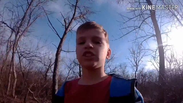 Mini Blig с братом погуляли показал и места там где начиналась наше детство смотреть онлайн