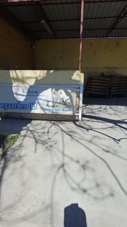 Уже приехал в Крым... 
(Как вы там ребят?)