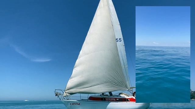 Аренда парусной яхты в Сочи | Стая Дельфинов в кадре смотреть онлайн