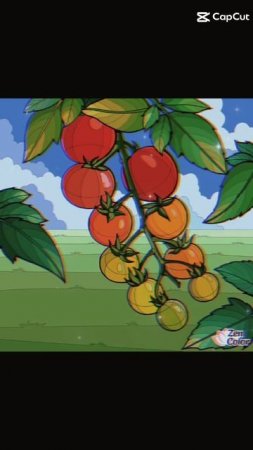 Помидоры помидоры 🍅