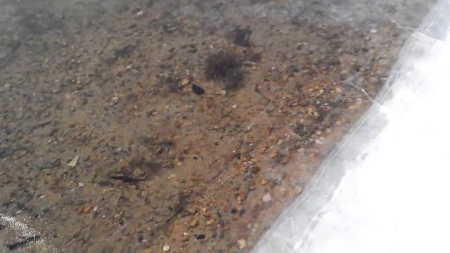 Строгинская пойма затягивается не сразу смотреть онлайн