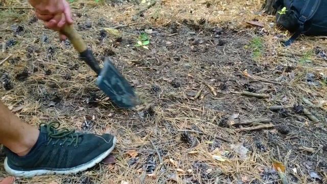 Провел в лесу 24 часа выживание (ночь в лесу) смотреть онлайн