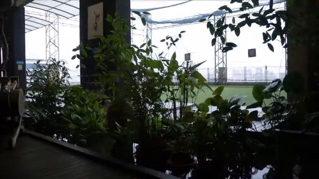 Таиланд, Бангкок, Baiyoke Sky Hotel смотреть онлайн