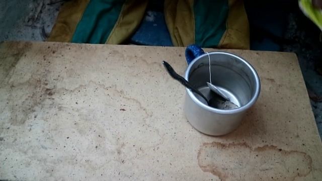 Зимний поход с ночёвкой (первый день) смотреть онлайн