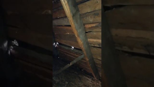 Восстановление крыши 🏗️🏗️ смотреть онлайн